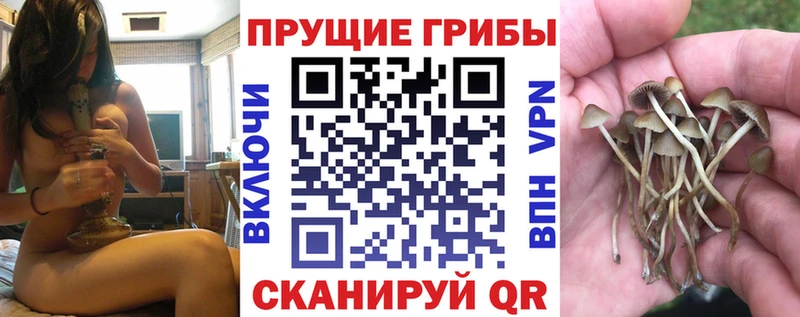 Галлюциногенные грибы прущие грибы  Купить закладки  Харовск 